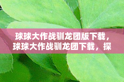 球球大作战驯龙团版下载图片