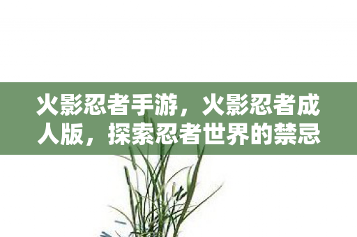 探索忍者世界的禁忌边缘图片