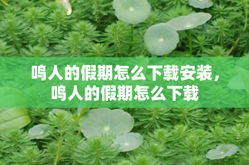 鸣人的假期怎么下载安装图片
