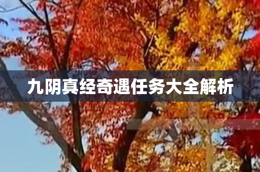 九阴真经奇遇任务大全解析 九阴真经奇遇任务大全解析