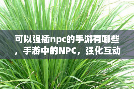 可以强插npc的手游有哪些图片