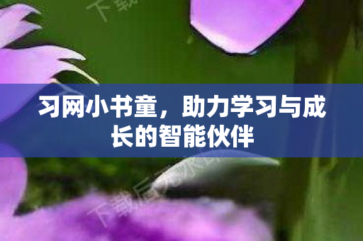 习网小书童,助力学习与成长的智能伙伴 习网小书童,助力学习与成长的智能伙伴