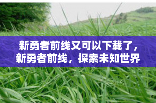 新勇者前线又可以下载了图片