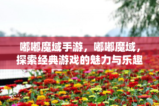 探索经典游戏的魅力与乐趣图片