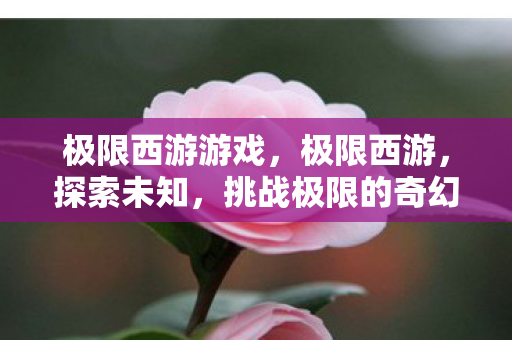 挑战极限的奇幻之旅图片