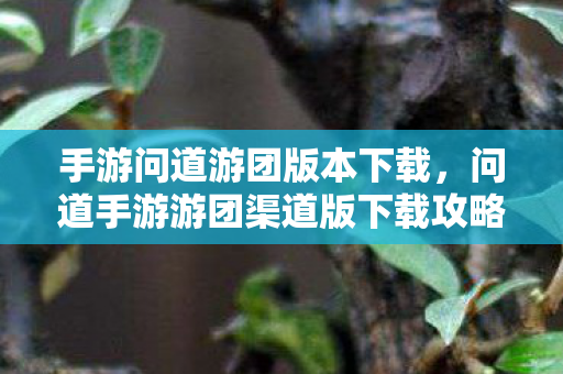 问道手游游团渠道版下载攻略图片