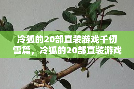 冷狐的20部直装游戏千仞雪篇图片