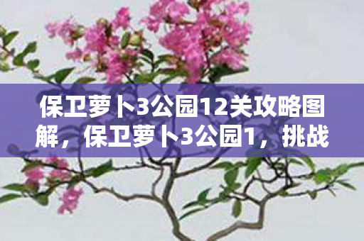 保卫萝卜3公园12关攻略图解图片