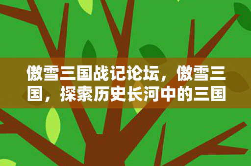 探索历史长河中的三国文化图片