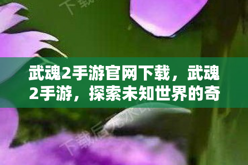 探索未知世界的奇幻之旅图片