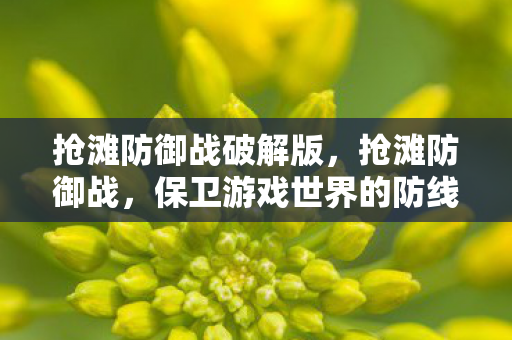 保卫游戏世界的防线图片