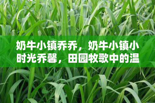田园牧歌中的温馨时光图片