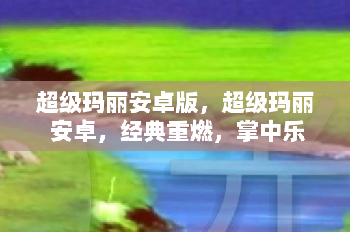 超级玛丽安卓版图片
