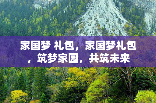 家国梦 礼包图片