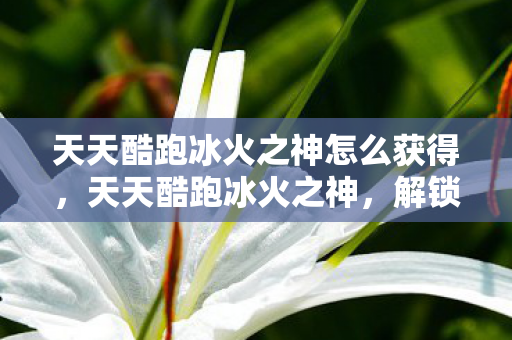天天酷跑冰火之神怎么获得图片