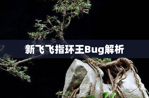 新飞飞指环王Bug解析