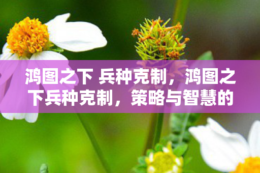 鸿图之下 兵种克制图片