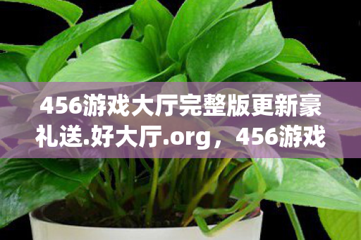 456游戏大厅完整版更新豪礼送图片