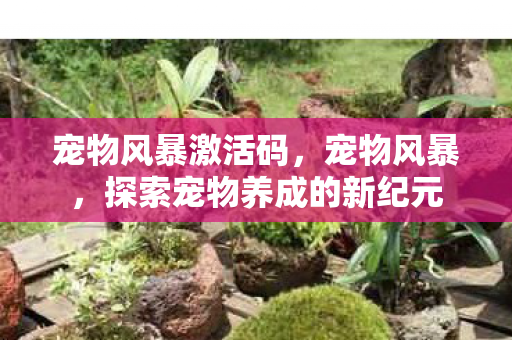 探索宠物养成的新纪元图片