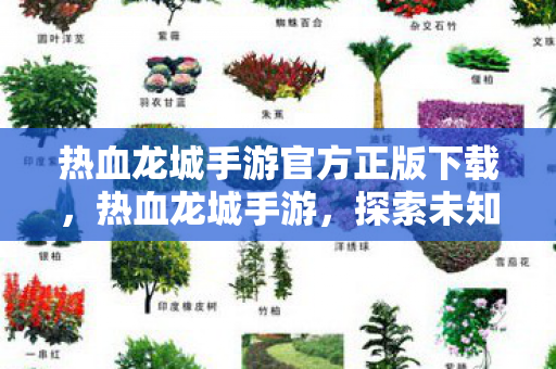 热血龙城手游官方正版下载图片