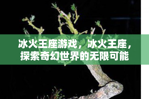 探索奇幻世界的无限可能图片