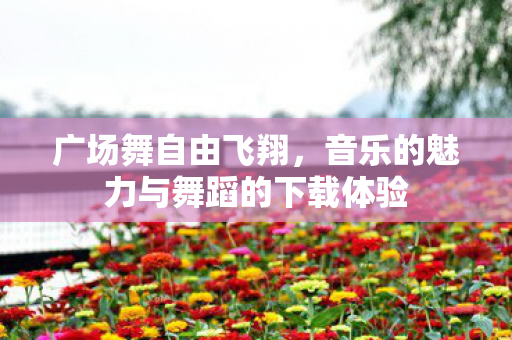 广场舞自由飞翔,音乐的魅力与舞蹈的下载体验 广场舞自由飞翔,音乐的魅力与舞蹈的下载体验