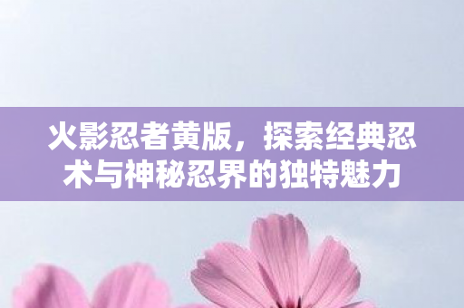 探索经典忍术与神秘忍界的独特魅力图片