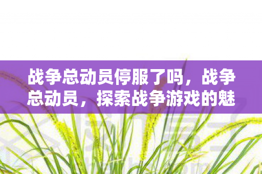 探索战争游戏的魅力与策略图片