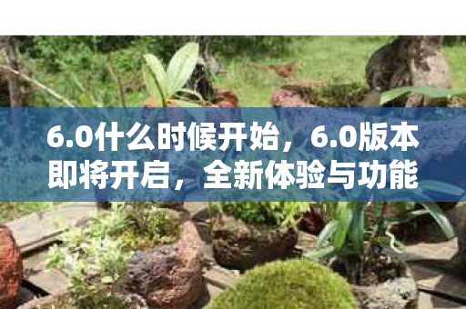 全新体验与功能升级图片