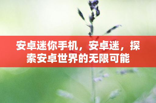 安卓迷你手机，安卓迷，探索安卓世界的无限可能