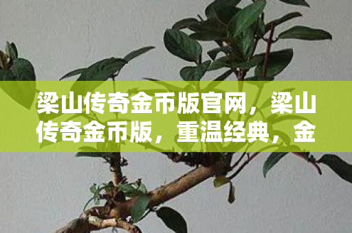 梁山传奇金币版官网图片