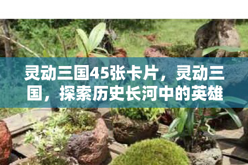 探索历史长河中的英雄与智谋图片