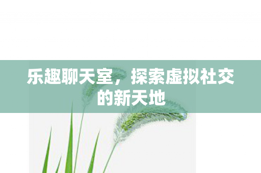 乐趣聊天室，探索虚拟社交的新天地