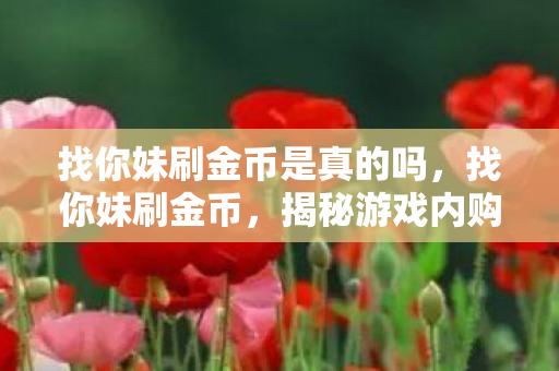找你妹刷金币是真的吗，找你妹刷金币，揭秘游戏内购的灰色地带