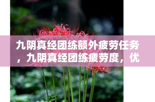 九阴真经团练额外疲劳任务,九阴真经团练疲劳度,优化策略与实战心得 九阴真经团练额外疲劳任务,九阴真经团练疲劳度,优化策略与实战心得