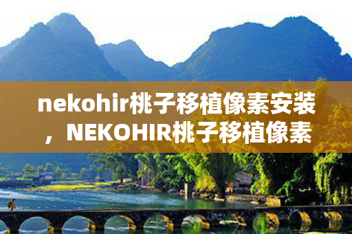 nekohir桃子移植像素安装图片
