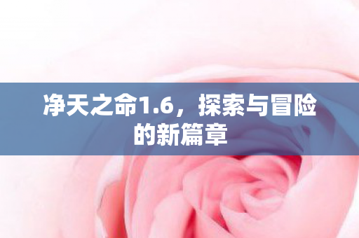 净天之命1.6，探索与冒险的新篇章