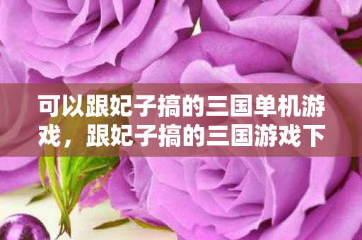 可以跟妃子搞的三国单机游戏图片