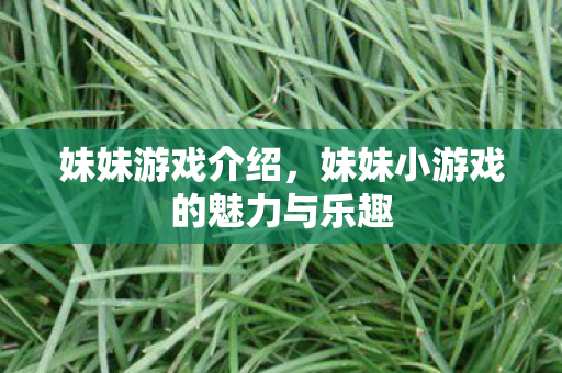 妹妹游戏介绍,妹妹小游戏的魅力与乐趣 妹妹游戏介绍,妹妹小游戏的魅力与乐趣
