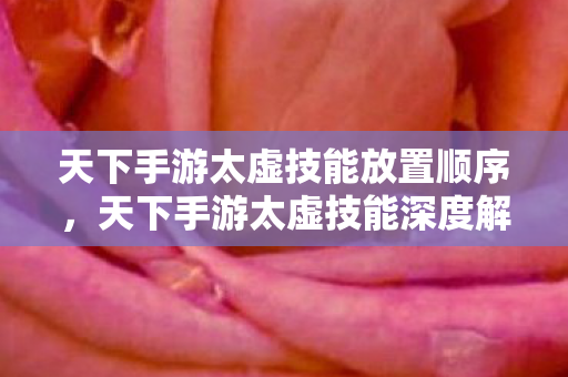 天下手游太虚技能放置顺序图片