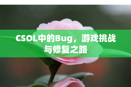 CSOL中的Bug,游戏挑战与修复之路 CSOL中的Bug,游戏挑战与修复之路