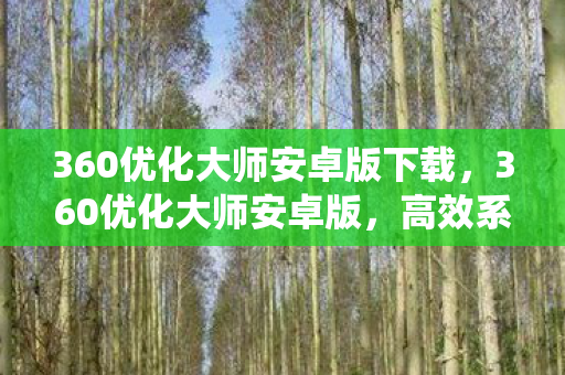 360优化大师安卓版下载，360优化大师安卓版，高效系统优化与管理的智能工具