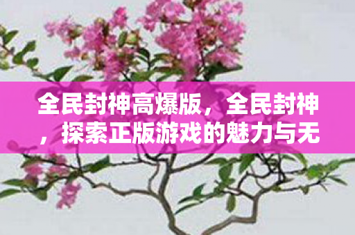 探索正版游戏的魅力与无限可能图片