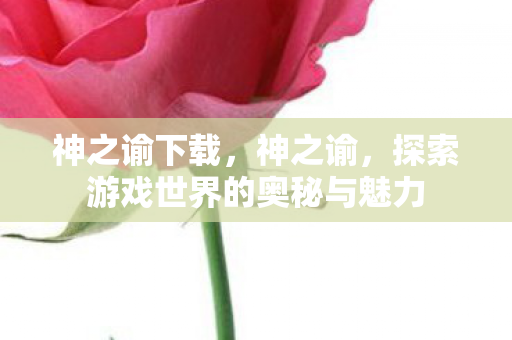 探索游戏世界的奥秘与魅力图片