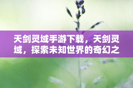 天剑灵域手游下载,天剑灵域,探索未知世界的奇幻之旅 天剑灵域手游下载,天剑灵域,探索未知世界的奇幻之旅