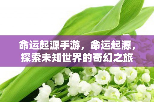 探索未知世界的奇幻之旅图片