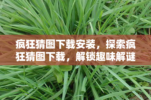 解锁趣味解谜新体验图片