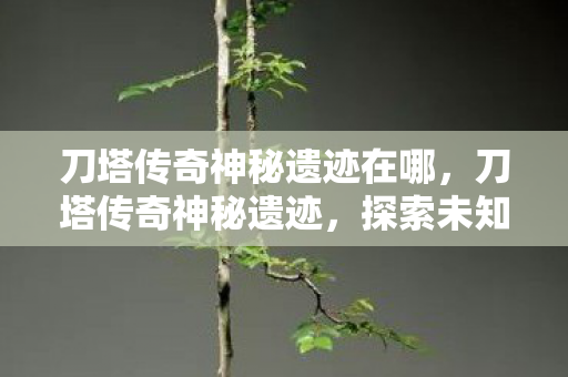 刀塔传奇神秘遗迹在哪,刀塔传奇神秘遗迹,探索未知世界的奇幻之旅 刀塔传奇神秘遗迹在哪,刀塔传奇神秘遗迹,探索未知世界的奇幻之旅