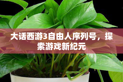 大话西游3自由人序列号,探索游戏新纪元 大话西游3自由人序列号,探索游戏新纪元