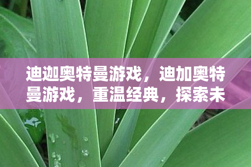 迪迦奥特曼游戏,迪加奥特曼游戏,重温经典,探索未知 迪迦奥特曼游戏,迪加奥特曼游戏,重温经典,探索未知